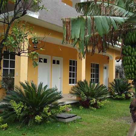 Posada Los Robles Tepoztlán Zewnętrze zdjęcie