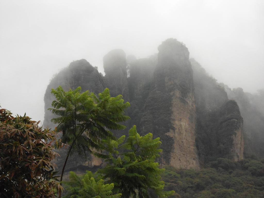 Posada Los Robles Tepoztlán Zewnętrze zdjęcie